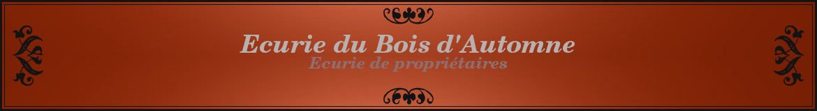 Ecurie du Bois d'Automne